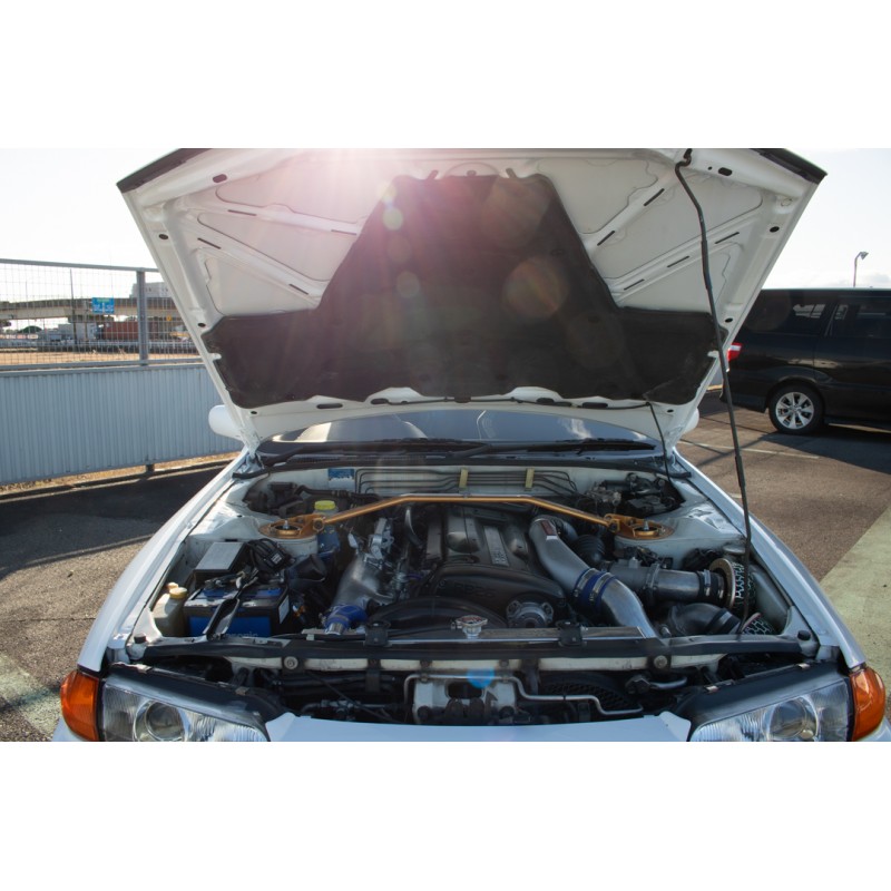 Nissan Skyline GT-R (N.8560) view 32