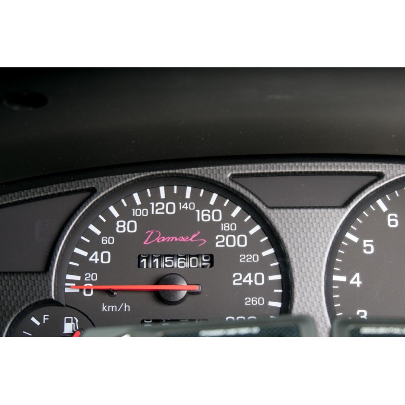 Nissan Skyline GTR R33 (N.8457) view 51