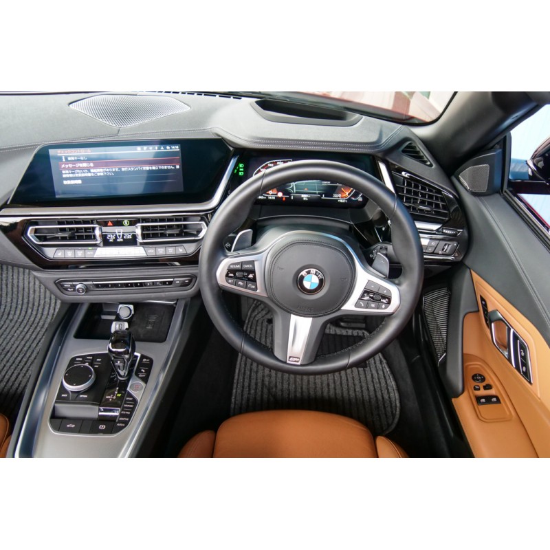 BMW Z4 (N.8531) view 76