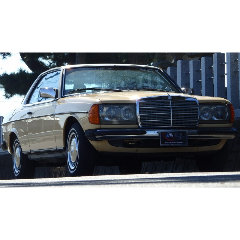 Mercedes Benz 280CE for sale (N. 7971) view 5