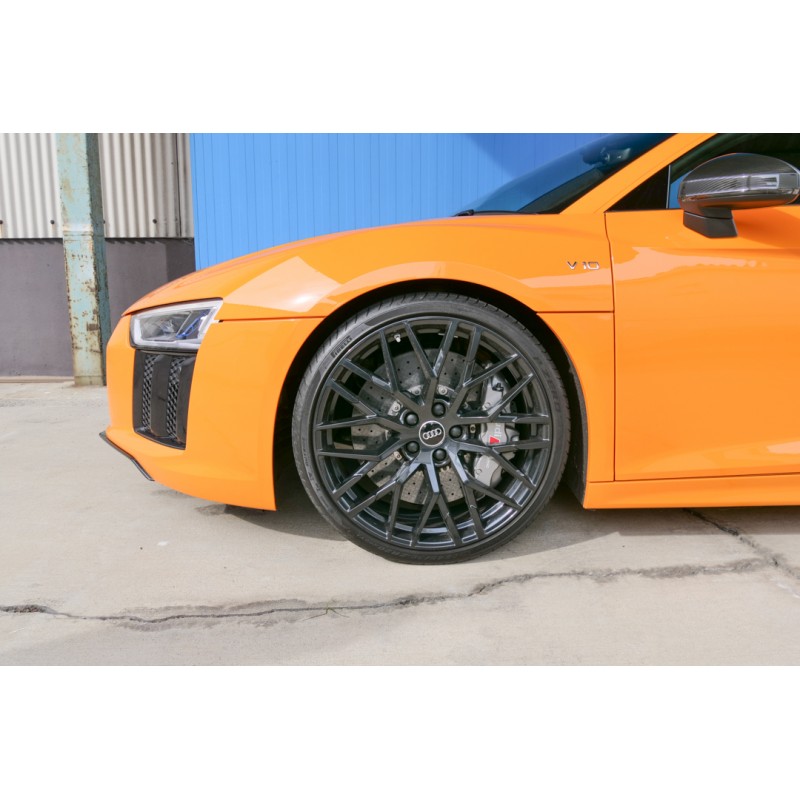 Audi R8 V10 Plus 5.2 (N.8471) view 40