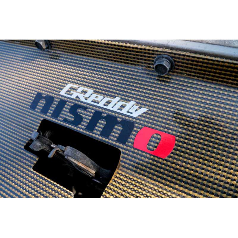 Nissan Skyline GTR for sale (N.8241) view 49