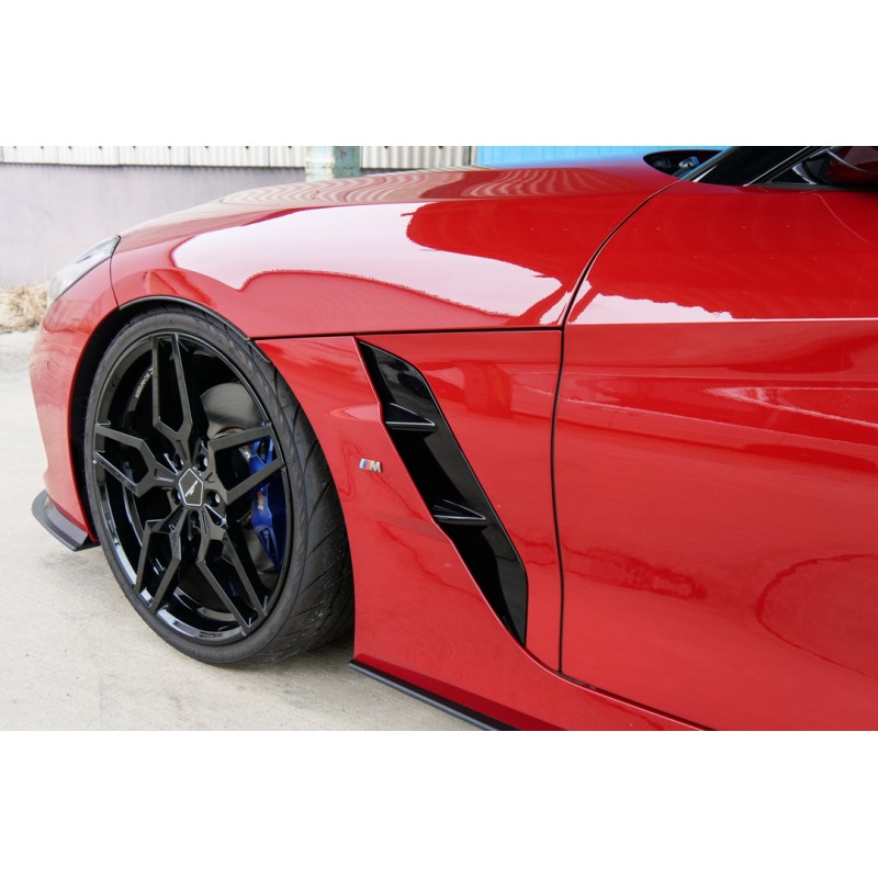 BMW Z4 (N.8531) view 18