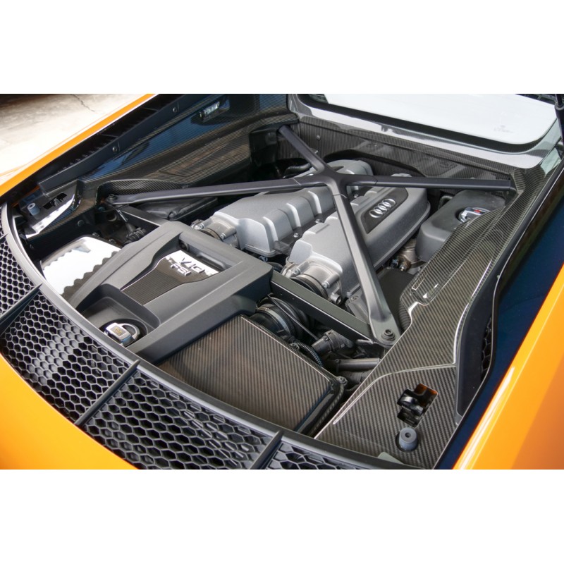Audi R8 V10 Plus 5.2 (N.8471) view 199