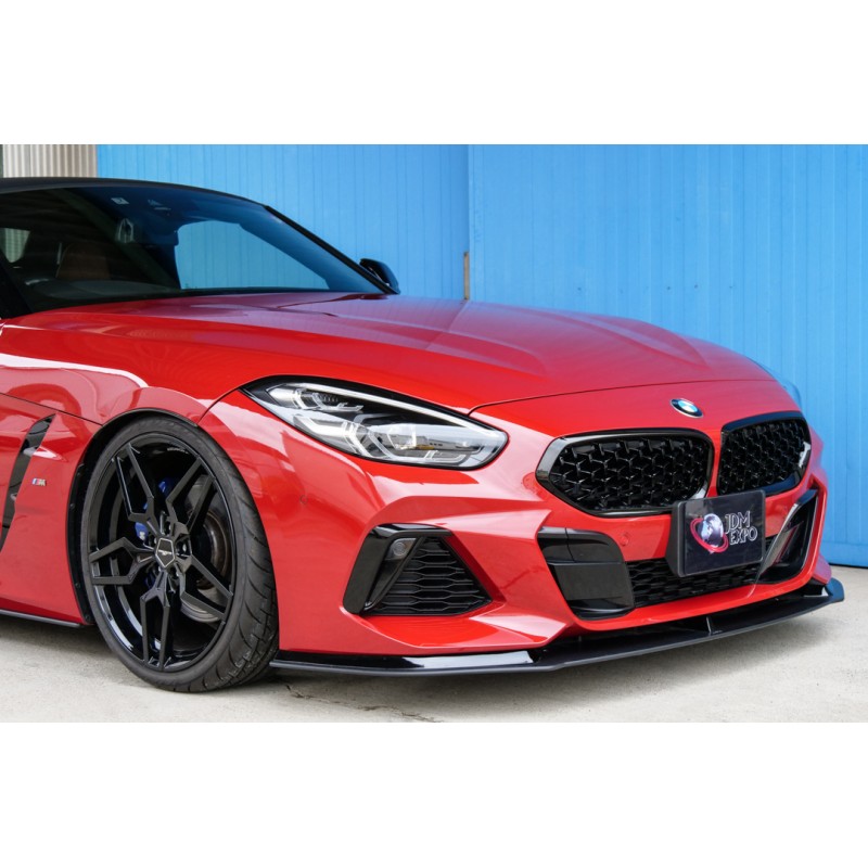 BMW Z4 (N.8531) view 46