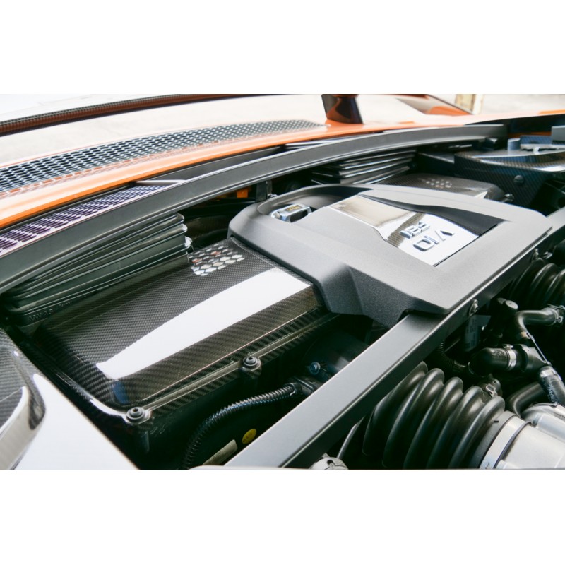 Audi R8 V10 Plus 5.2 (N.8471) view 197