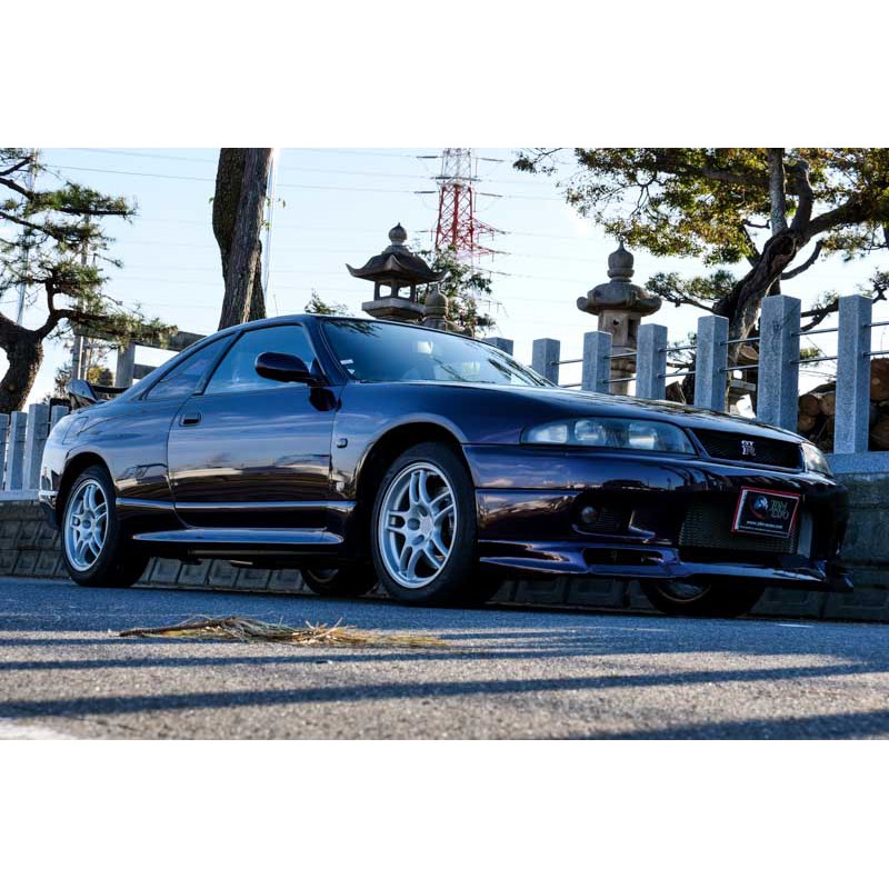 Skyline GTR R33 V-Spec for sale JDM EXPO ( N. 8197) view 9