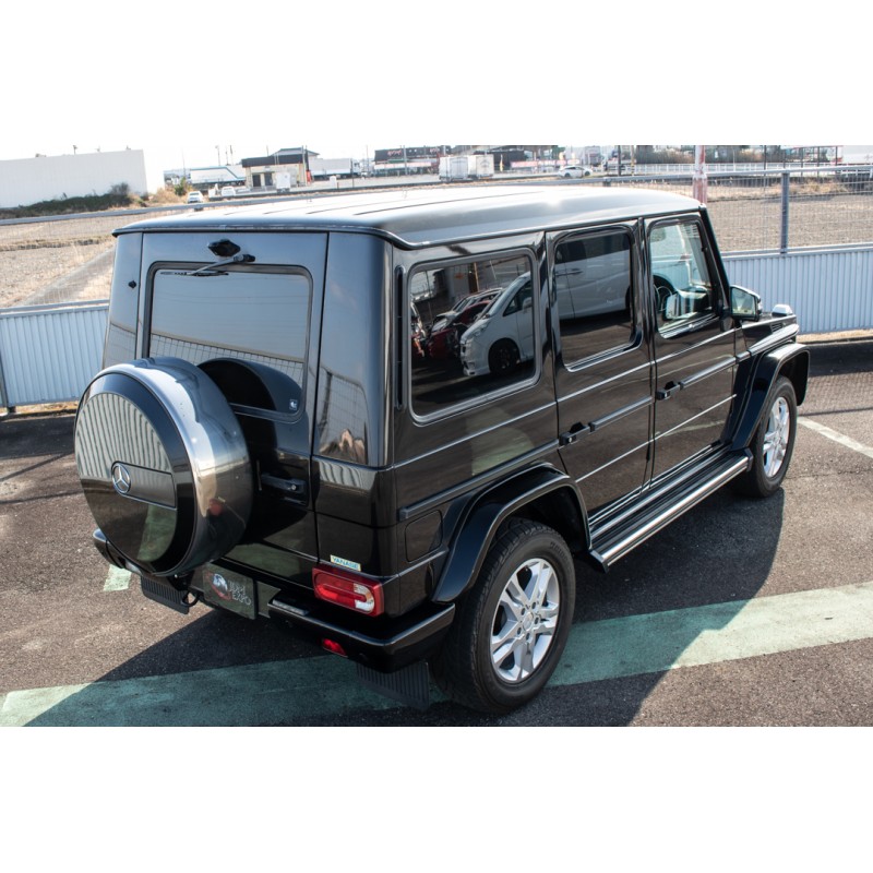 Mercedes Benz G350d (N.8561) view 12
