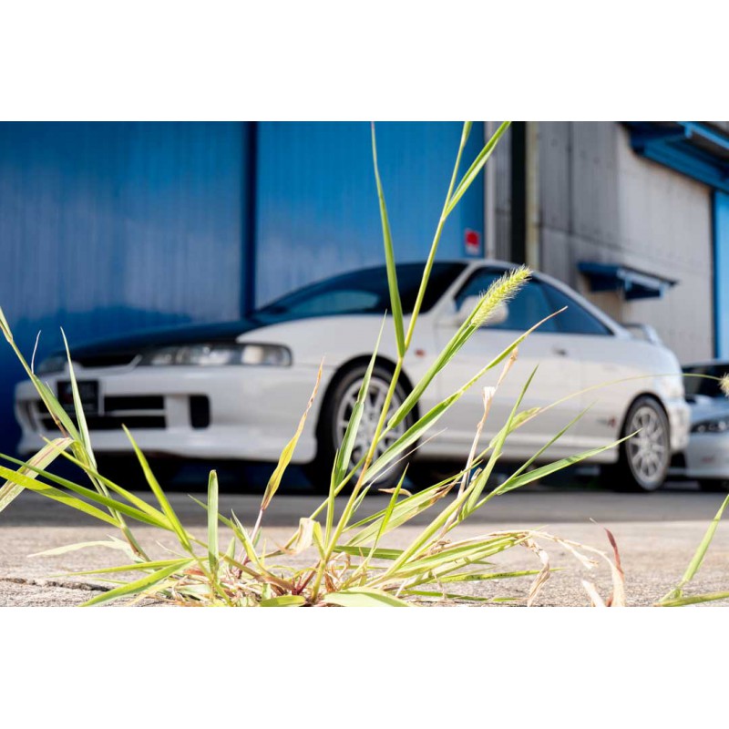 Honda Integra Type R for sale (N.8361) view 7