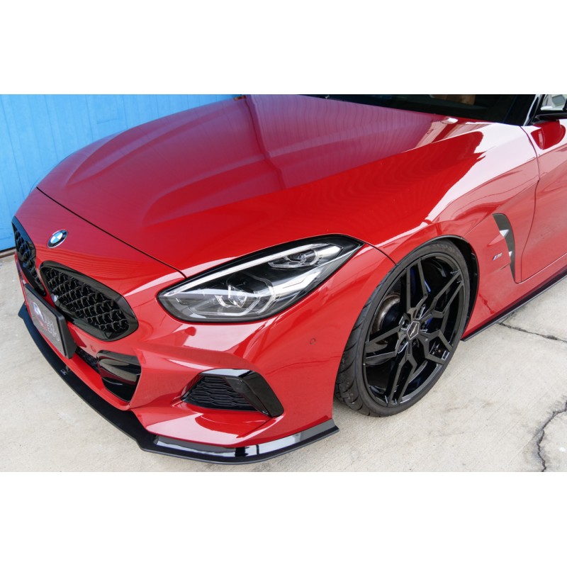 BMW Z4 (N.8531) view 17