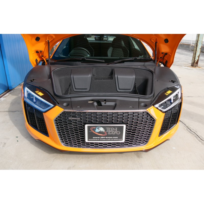 Audi R8 V10 Plus 5.2 (N.8471) view 176