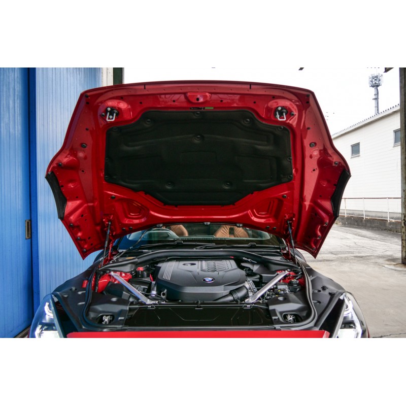 BMW Z4 (N.8531) view 83