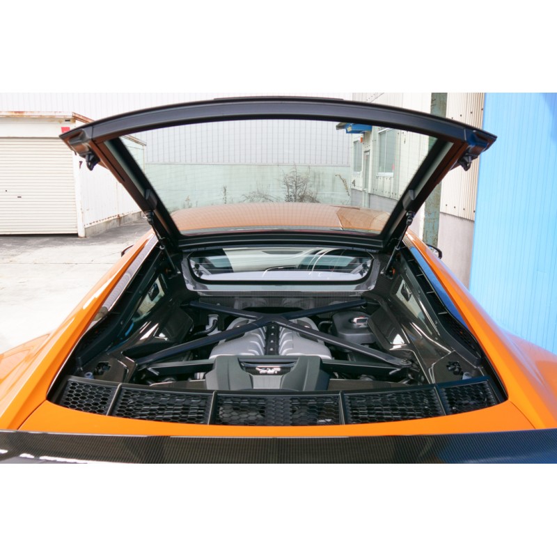 Audi R8 V10 Plus 5.2 (N.8471) view 188