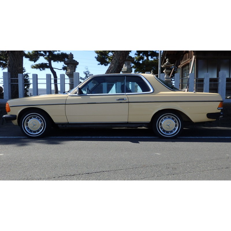 Mercedes Benz 280CE for sale (N. 7971) view 19