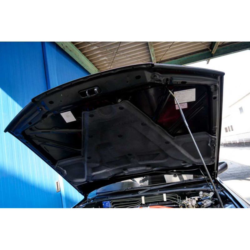 Nissan Skyline GTR for sale (N.8325) view 56