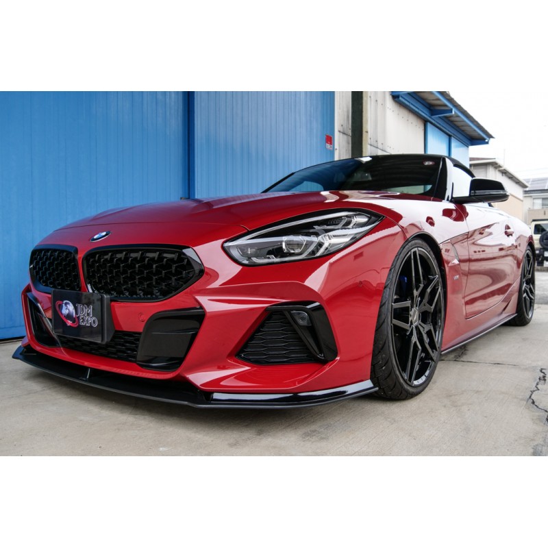 BMW Z4 (N.8531) view 25