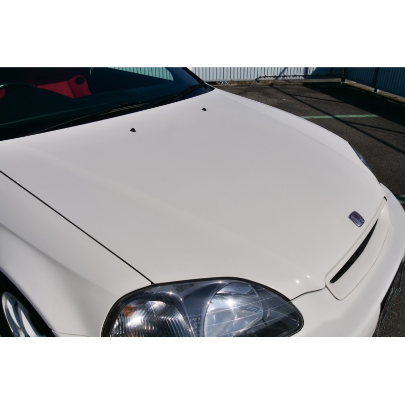 Honda Civic Type R (N.8475) view 21